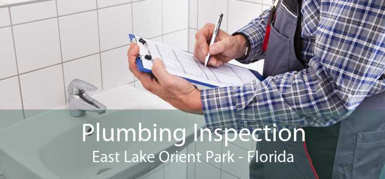 Plumbing Inspection East Lake Orient Park - Florida
