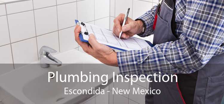 Plumbing Inspection Escondida - New Mexico
