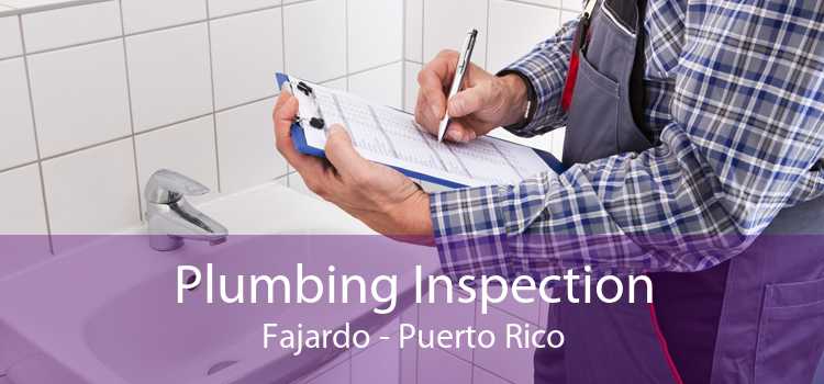 Plumbing Inspection Fajardo - Puerto Rico