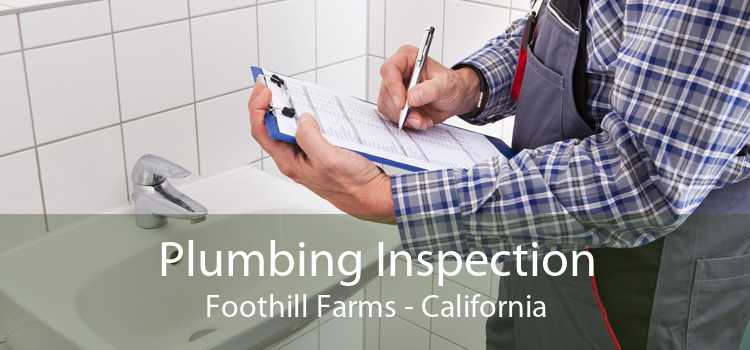 Plumbing Inspection Foothill Farms - California