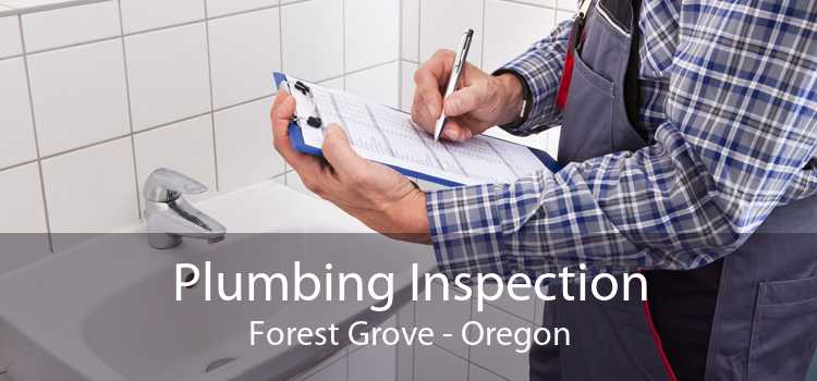 Plumbing Inspection Forest Grove - Oregon