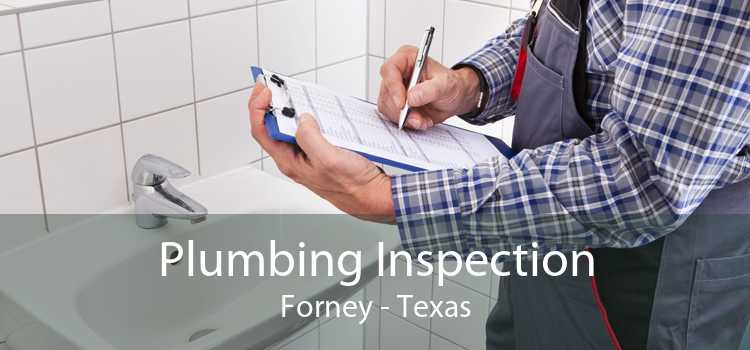 Plumbing Inspection Forney - Texas