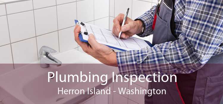 Plumbing Inspection Herron Island - Washington