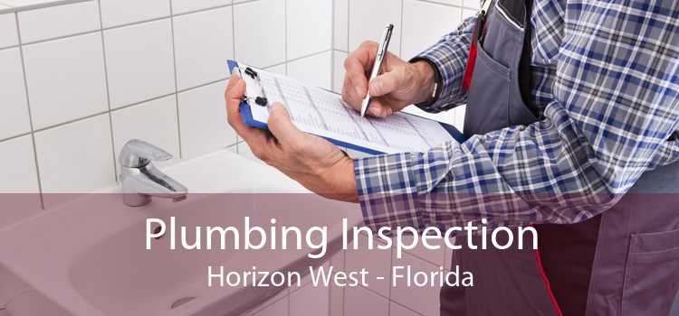 Plumbing Inspection Horizon West - Florida