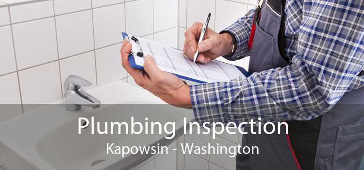 Plumbing Inspection Kapowsin - Washington