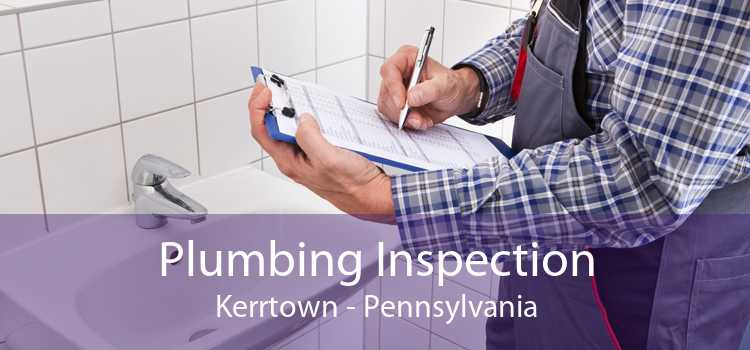 Plumbing Inspection Kerrtown - Pennsylvania