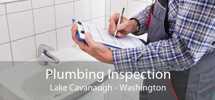Plumbing Inspection Lake Cavanaugh - Washington