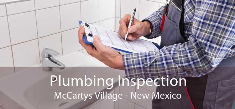 Plumbing Inspection McCartys Village - New Mexico