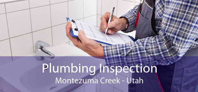 Plumbing Inspection Montezuma Creek - Utah