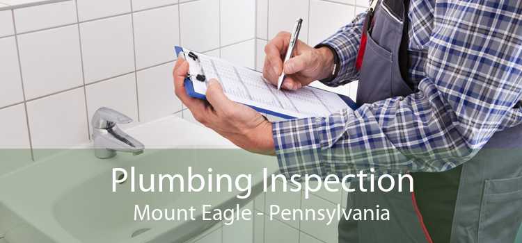 Plumbing Inspection Mount Eagle - Pennsylvania