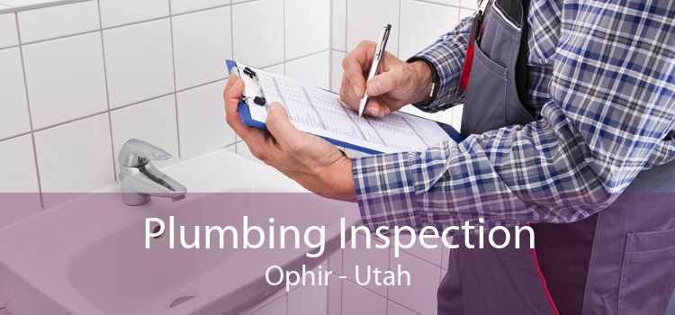 Plumbing Inspection Ophir - Utah