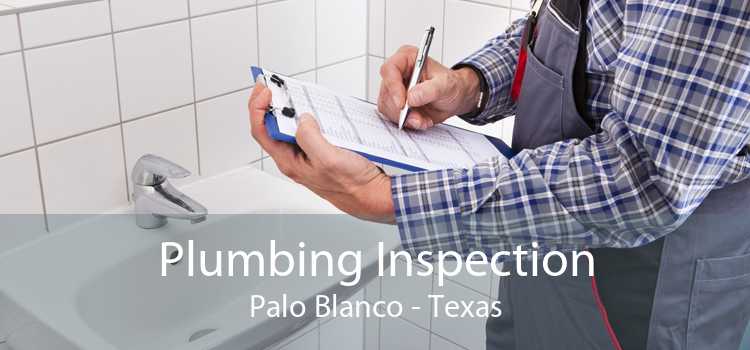 Plumbing Inspection Palo Blanco - Texas