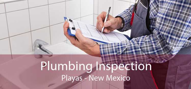 Plumbing Inspection Playas - New Mexico