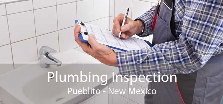 Plumbing Inspection Pueblito - New Mexico