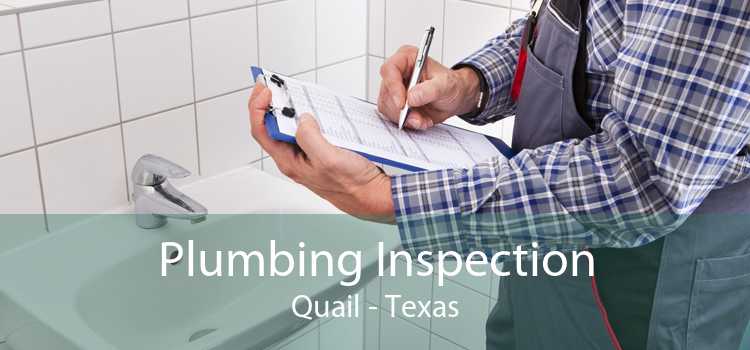 Plumbing Inspection Quail - Texas