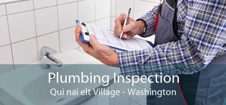 Plumbing Inspection Qui nai elt Village - Washington