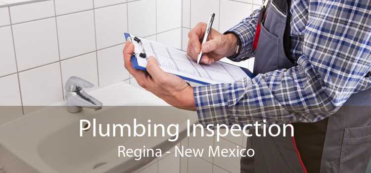 Plumbing Inspection Regina - New Mexico