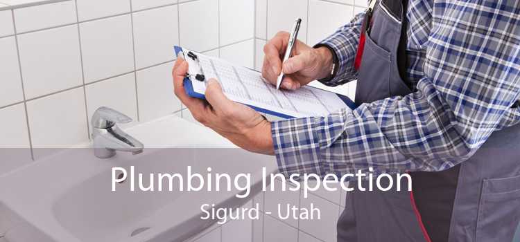 Plumbing Inspection Sigurd - Utah