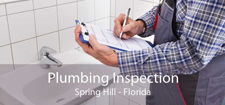 Plumbing Inspection Spring Hill - Florida