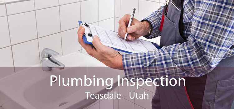 Plumbing Inspection Teasdale - Utah