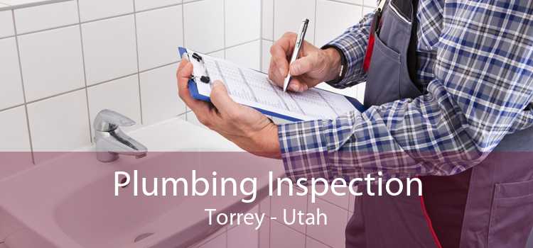 Plumbing Inspection Torrey - Utah