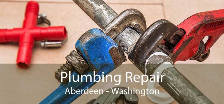 Plumbing Repair Aberdeen - Washington