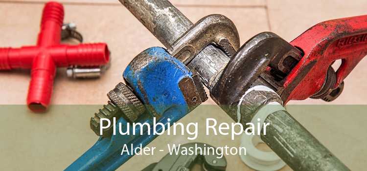 Plumbing Repair Alder - Washington