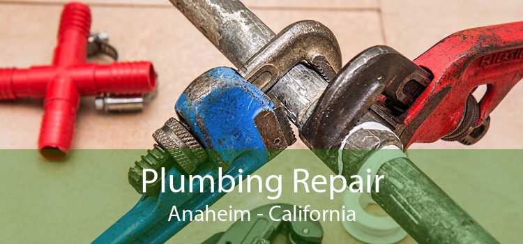 Plumbing Repair Anaheim - California