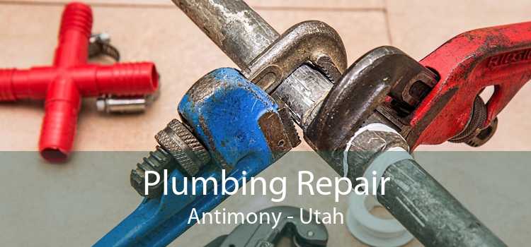 Plumbing Repair Antimony - Utah