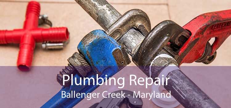 Plumbing Repair Ballenger Creek - Maryland