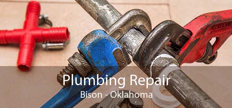 Plumbing Repair Bison - Oklahoma