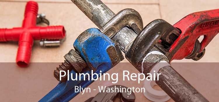 Plumbing Repair Blyn - Washington
