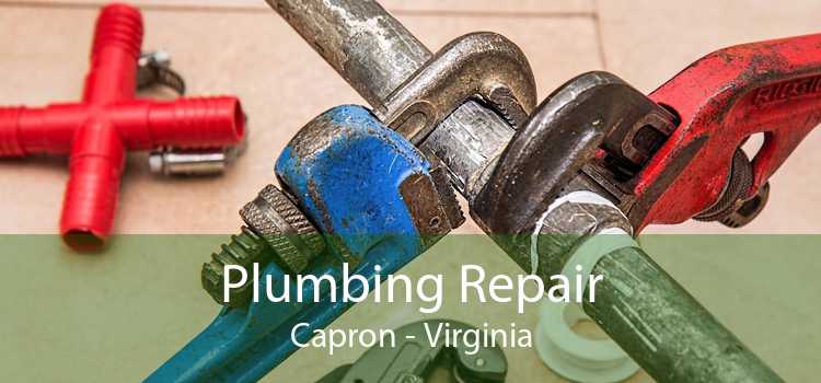 Plumbing Repair Capron - Virginia