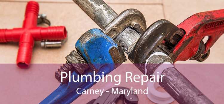 Plumbing Repair Carney - Maryland