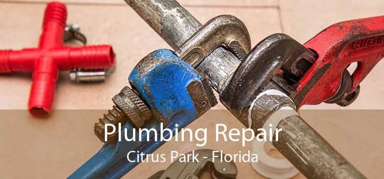 Plumbing Repair Citrus Park - Florida
