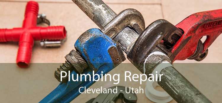 Plumbing Repair Cleveland - Utah