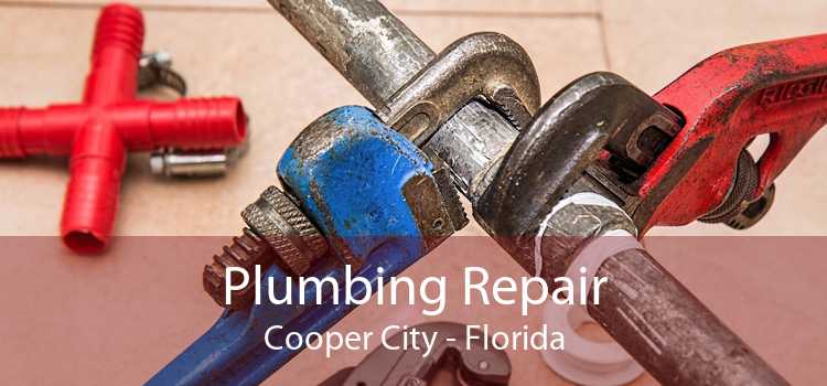 Plumbing Repair Cooper City - Florida