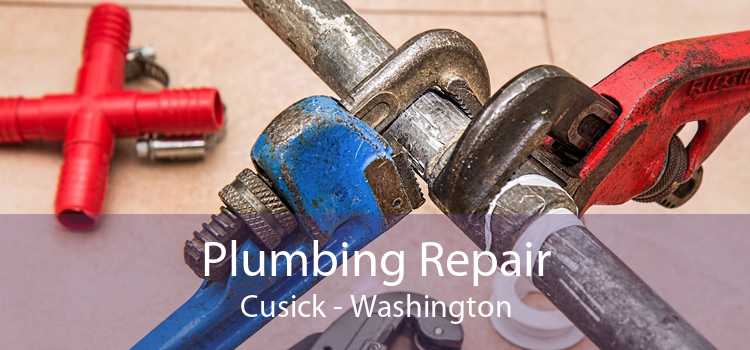 Plumbing Repair Cusick - Washington
