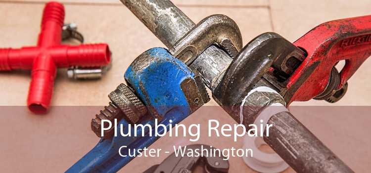 Plumbing Repair Custer - Washington