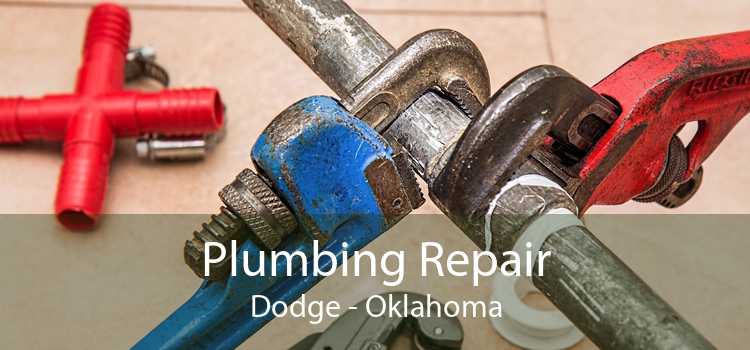 Plumbing Repair Dodge - Oklahoma