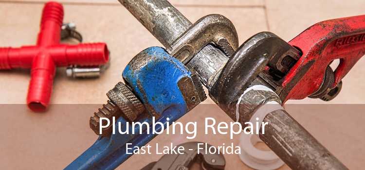 Plumbing Repair East Lake - Florida