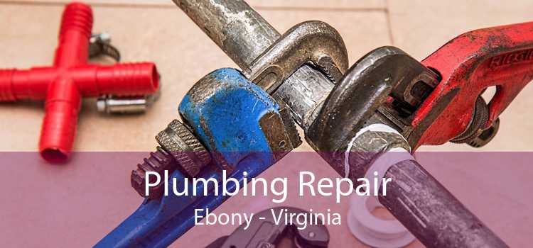 Plumbing Repair Ebony - Virginia
