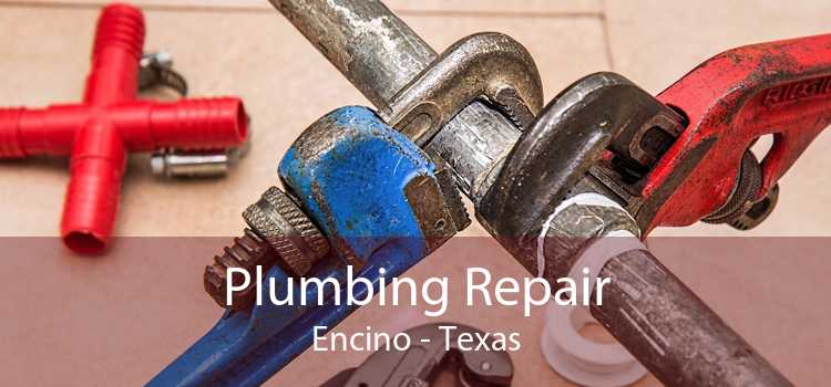 Plumbing Repair Encino - Texas
