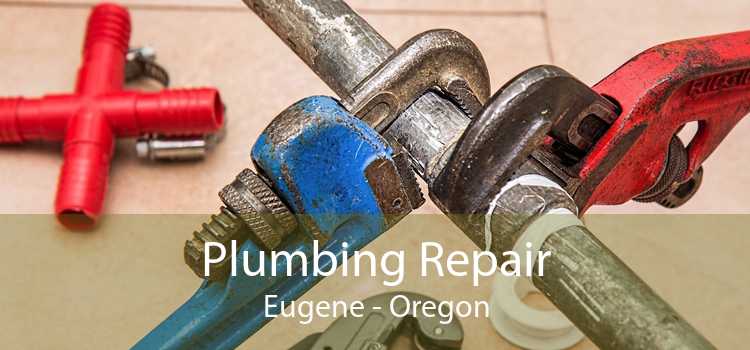 Plumbing Repair Eugene - Oregon