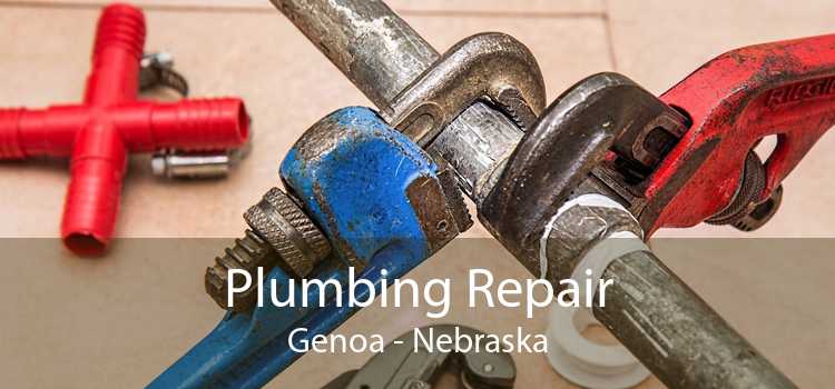 Plumbing Repair Genoa - Nebraska
