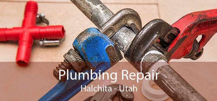 Plumbing Repair Halchita - Utah
