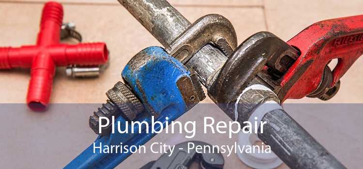 Plumbing Repair Harrison City - Pennsylvania