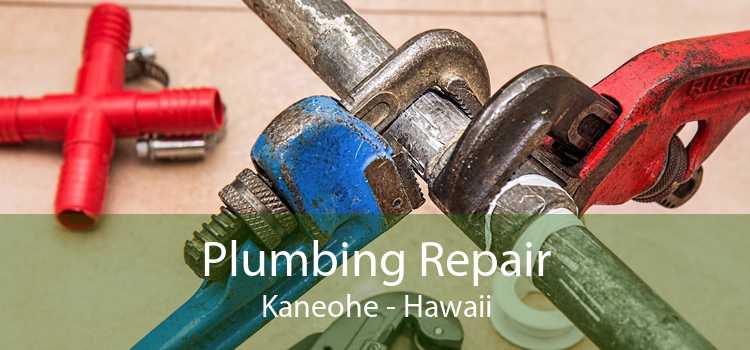 Plumbing Repair Kaneohe - Hawaii