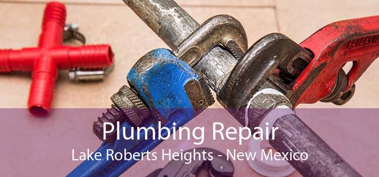 Plumbing Repair Lake Roberts Heights - New Mexico