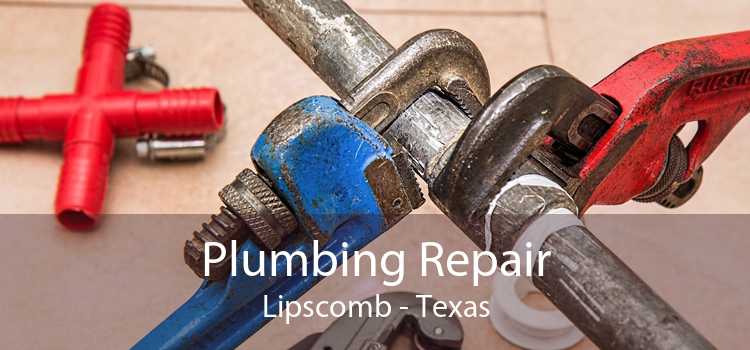 Plumbing Repair Lipscomb - Texas